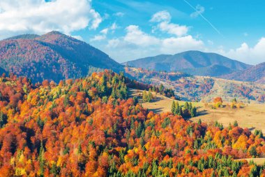 dağlarda harika sonbahar öğleden sonra