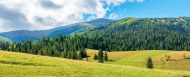 dağlarda harika sonbahar öğleden sonra