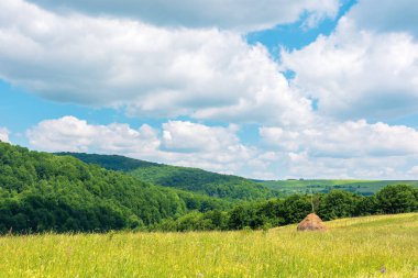 Yaz aylarında güzel kırsal alan