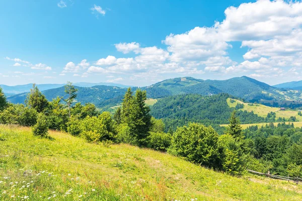 Wunderschöner Sommernachmittag in den Bergen — Stockfoto