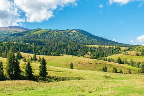 Wonderful autumn afternoon in mountains — Stock Photo, Image