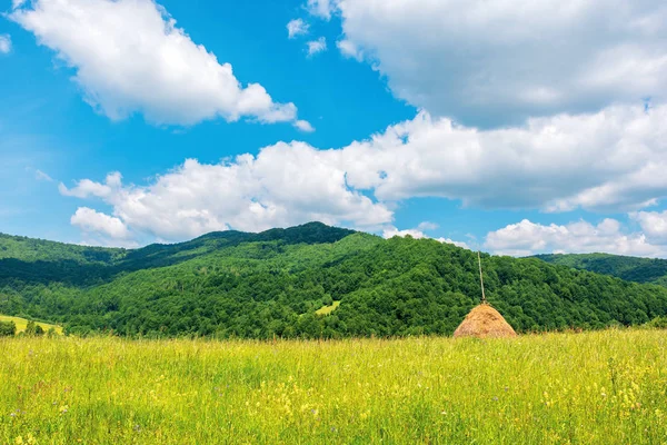 夏の美しい農村地域 — ストック写真