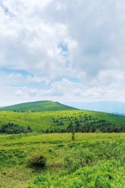 bulutlu bir günde güzel yaz manzarası