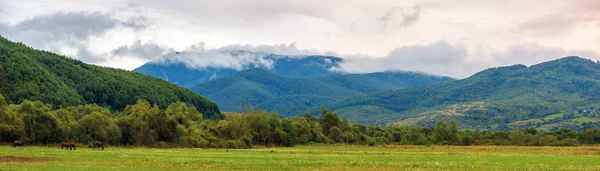 Şafakta dağlarda kırsal Panorama — Stok fotoğraf