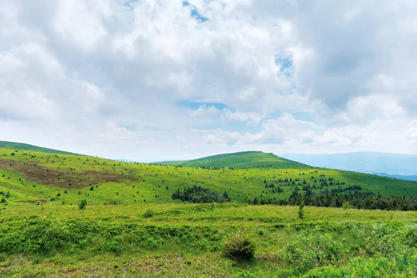 Hermoso paisaje de verano en un día nublado — Foto de Stock