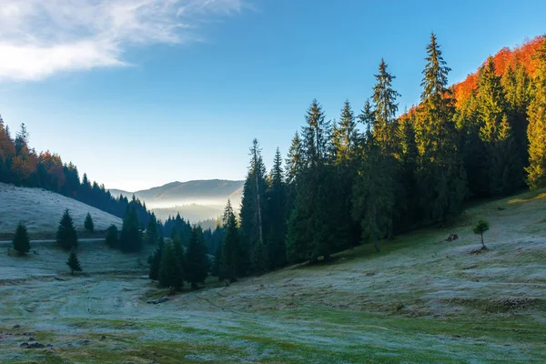 Красиві осінні пейзажі в горах — стокове фото