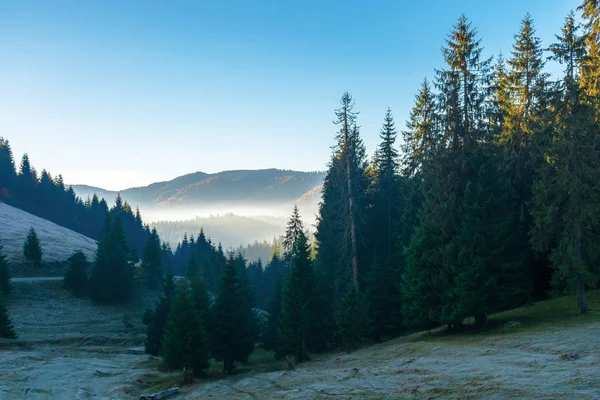 Schöne Herbstkulisse in den Bergen — Stockfoto