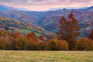 alacakaranlıkta güzel sonbahar kırsal manzara