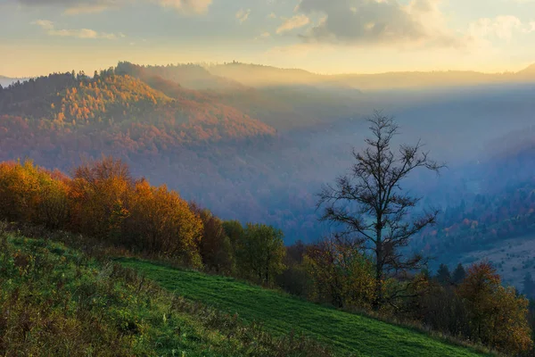 Verbazingwekkende mistige zonsopgang in de herfst — Stockfoto