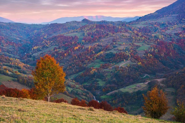 Bela paisagem rural outono ao entardecer — Fotografia de Stock