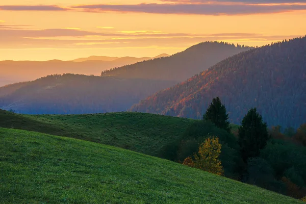 Bela paisagem rural outono ao entardecer — Fotografia de Stock