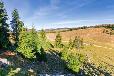 tepelerde orman ile güzel kırsal