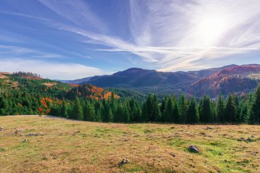 Sabah güzel dağ manzarası