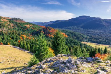 Sabah güzel dağ manzarası