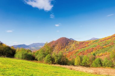 Sonbaharda güzel dağ manzarası