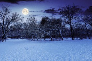 gece kışın park