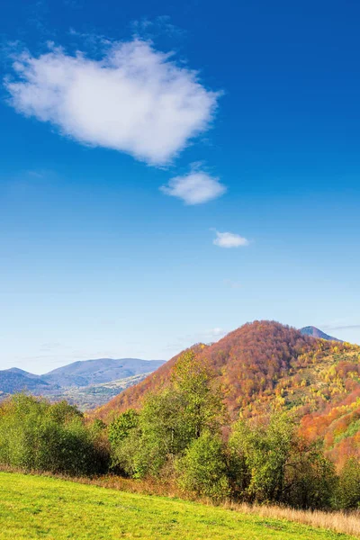 Hermoso campo en colores de otoño — Foto de Stock