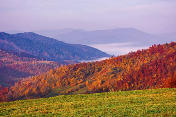 Nebuloso outono montanha paisagem ao amanhecer — Fotografia de Stock