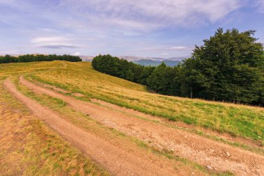 dağlarda çayır ile ülke yolu