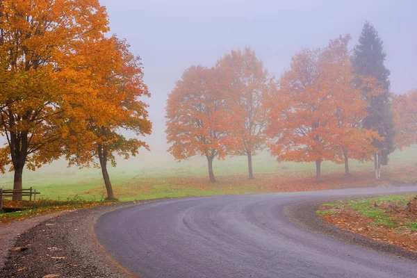 Enrolamento rodoviário através do nevoeiro no outono — Fotografia de Stock