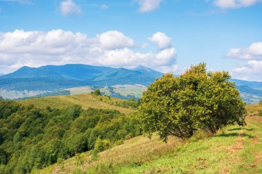 harika sonbahar dağ manzara