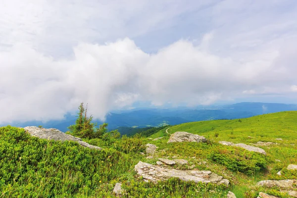 Cloudy summer weather in mountains — Stock Photo, Image