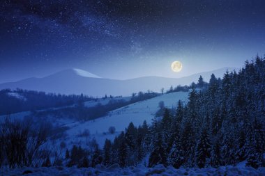 dağlarda harika kış gecesi sahne