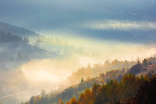 Glühender Nebel am Morgen — Stockfoto