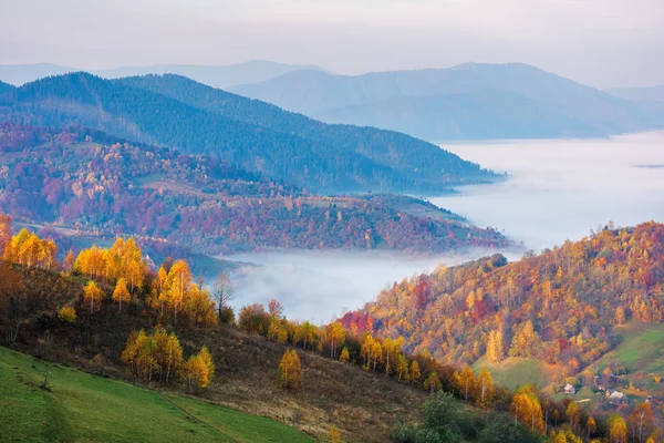 Podzimní krajina v mlhavém rozbřesku — Stock fotografie