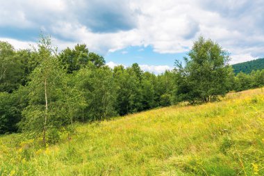 dağda çimenli glade