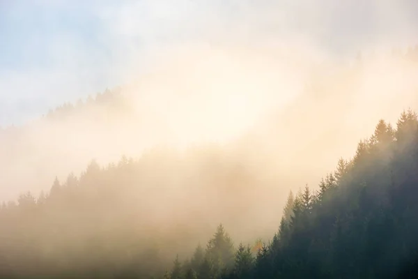 Światło słoneczne przez mgłę i chmury nad lasem — Zdjęcie stockowe