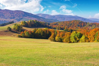 güzel sonbahar dağ manzarası