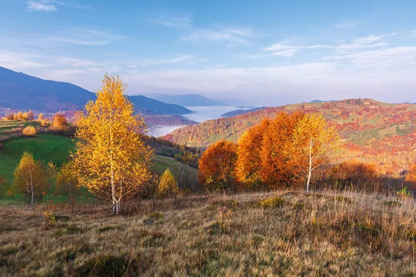 Beautiful autumn rural landscape at sunrise — Stock Photo, Image