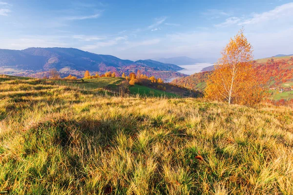 Vackert höst landsbygdslandskap vid soluppgången — Stockfoto