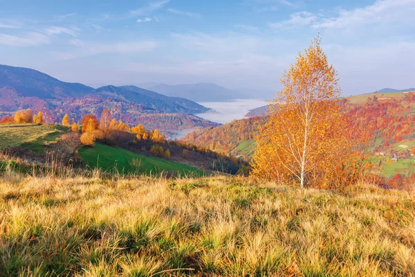 Krásná podzimní Venkovská krajina za východu slunce — Stock fotografie