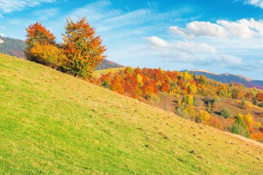 Güneşli bir sonbahar akşamında dağların kırsalında