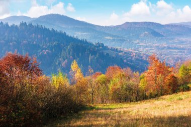 yas dağlık sonbahar kırsal