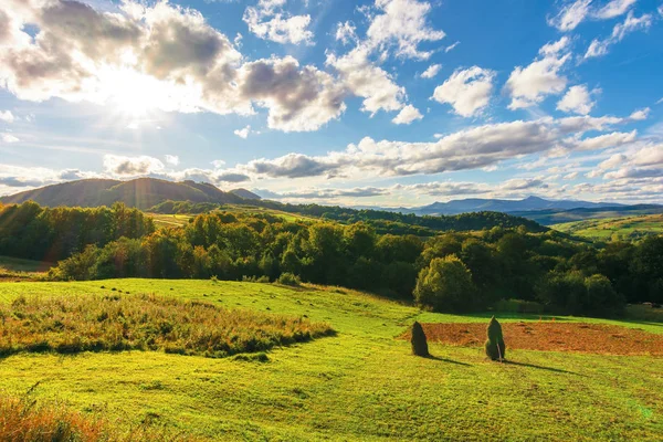 Maravilloso paisaje rural a la luz de la tarde —  Fotos de Stock