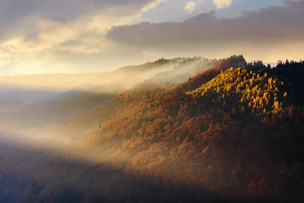 Осенний горный пейзаж на туманном восходе солнца — стоковое фото
