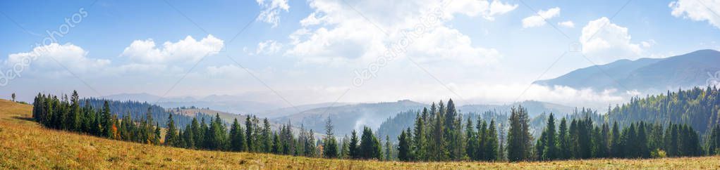 mountain panorama with forest on meadow 