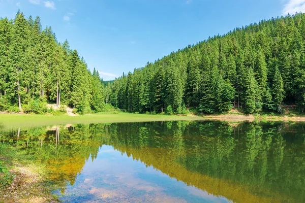 Bela paisagem de verão nas montanhas — Fotografia de Stock