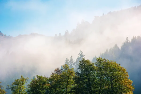 Wspaniała jesienna pogoda w górach — Zdjęcie stockowe
