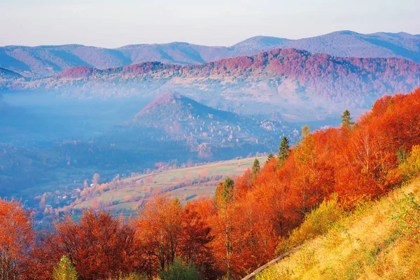 Schöne Morgenlandschaft in den Bergen — Stockfoto