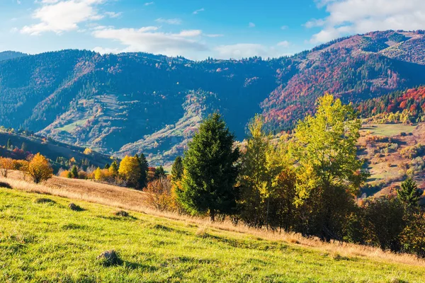 Splendida giornata autunnale soleggiata in montagna — Foto Stock