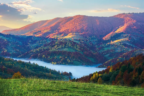 Nascer do sol mágico nas montanhas — Fotografia de Stock