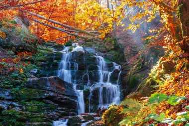 şelale shypot yakın güzel sonbahar sahne