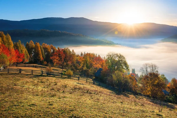 Increíble campo en temporada de otoño al amanecer — Foto de Stock