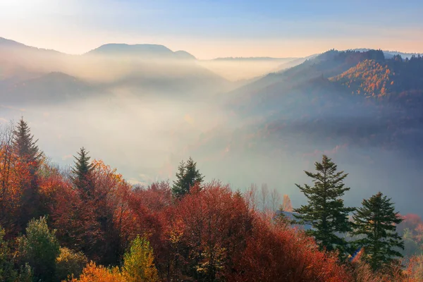 Dağlarda sisli gündoğumu — Stok fotoğraf