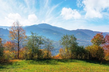 güneşli bir sonbahar gününde dağlık kırsal