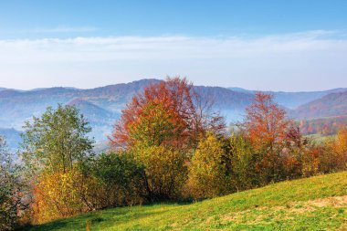 güneşli bir sonbahar gününde dağlık kırsal